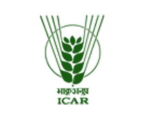 ULTRA AUTOSONIC LLP, Ultrasonic Liquid Sonication, Food Cutting, Fabric Sealing & Plastic Welding Machines and our setup is situated at Pune, Maharashtra, India.