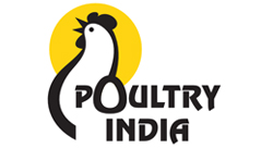 poultry